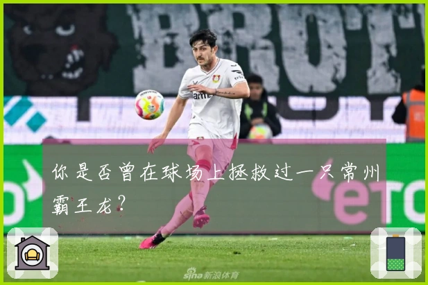 你是否曾在球场上拯救过一只常州霸王龙？