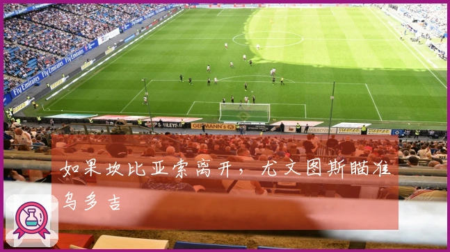 如果坎比亚索离开，尤文图斯瞄准乌多吉
