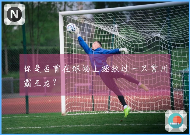 你是否曾在球场上拯救过一只常州霸王龙？